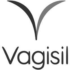 Vagisil logo